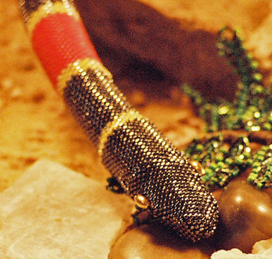 Coral Snake by Juanita Finger